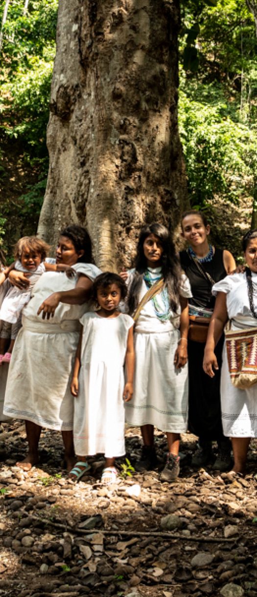 Comunidad Arhuaco - Sabana Crespo Valledupar
